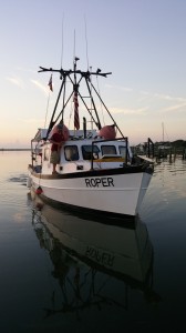 The R/V Roper, IMH’s 36’, steel-hulled, ex-shrimp trawler turned dive research vessel approaches the loading dock. She returns June 22 for another summer of research in St. Augustine.