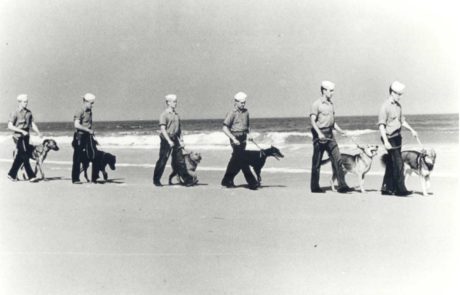 sailors walking dogs on the beach